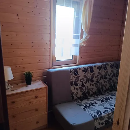 Burszynowe * Wladyslawowo